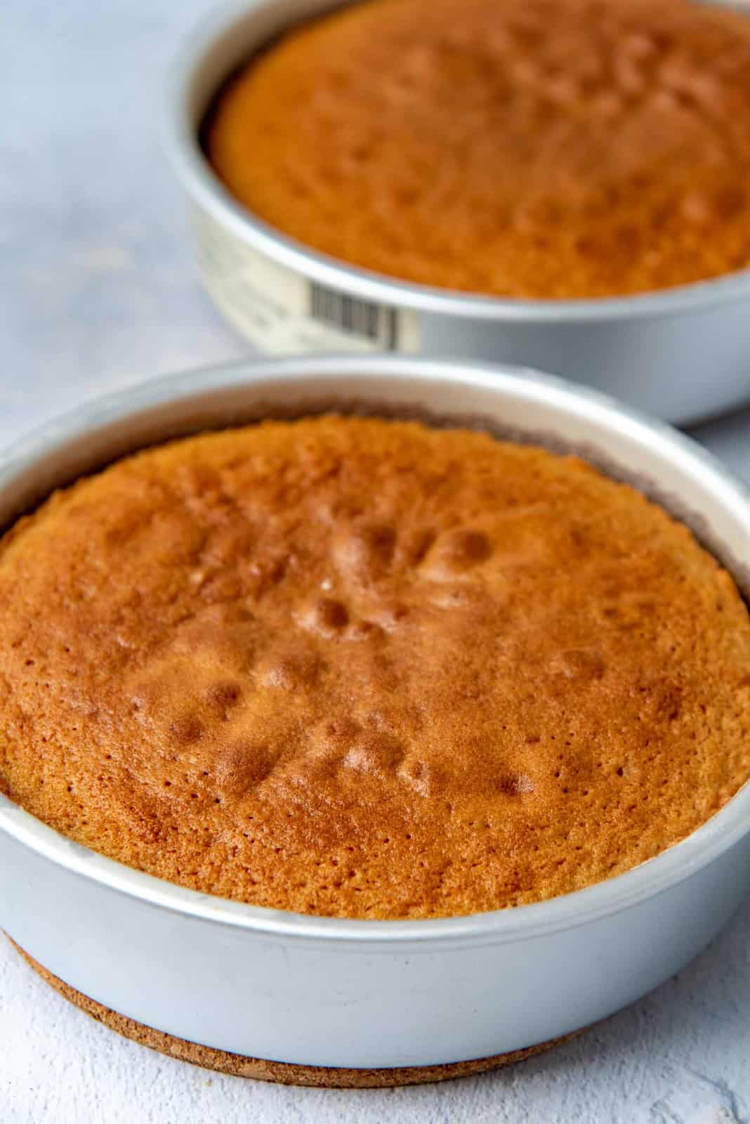 Freshly baked cake layers