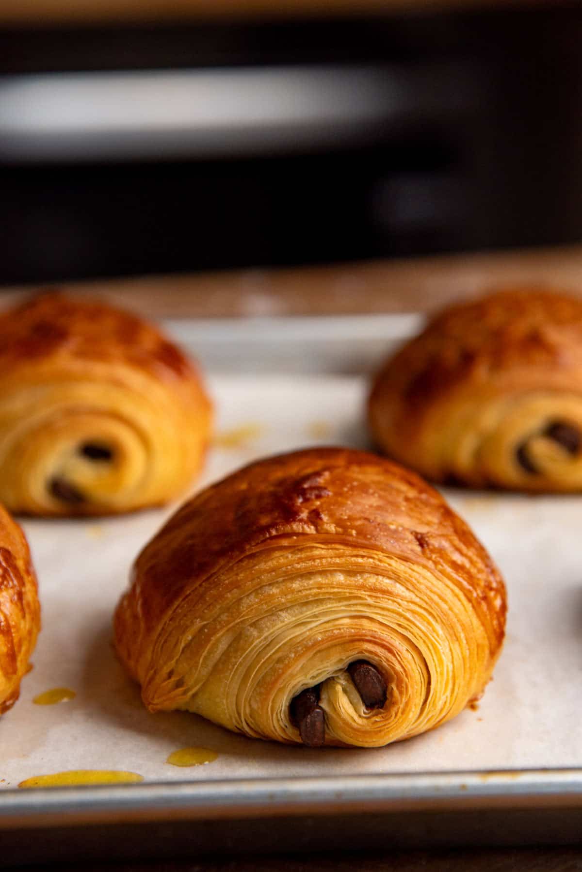 Close up of a chocolate croissant on a sheet pan to show beautiful flaky layers and chocolate in the middle.