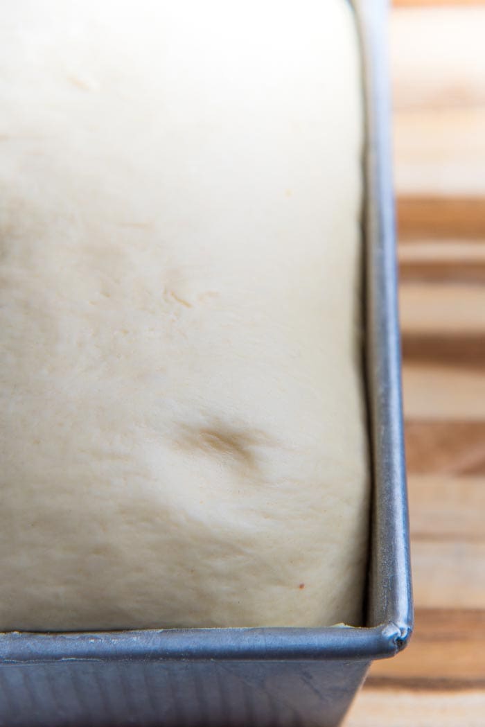 A homemade bread loaf before being baked, with an indentation to check if it's proofed properly.
