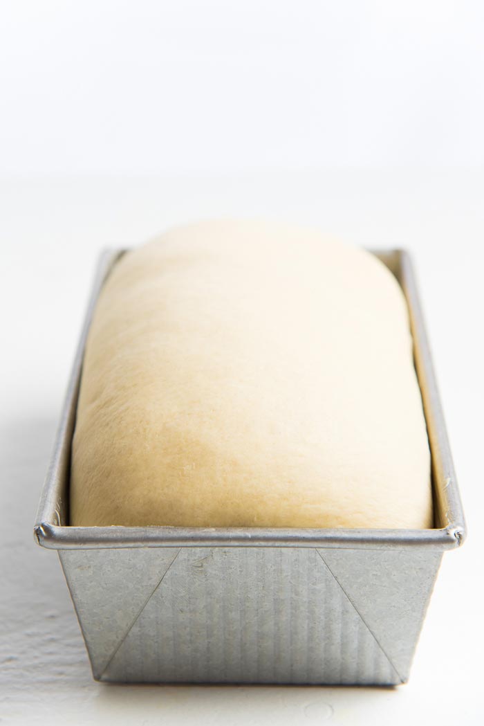 The dough has risen over the top of the loaf pan.