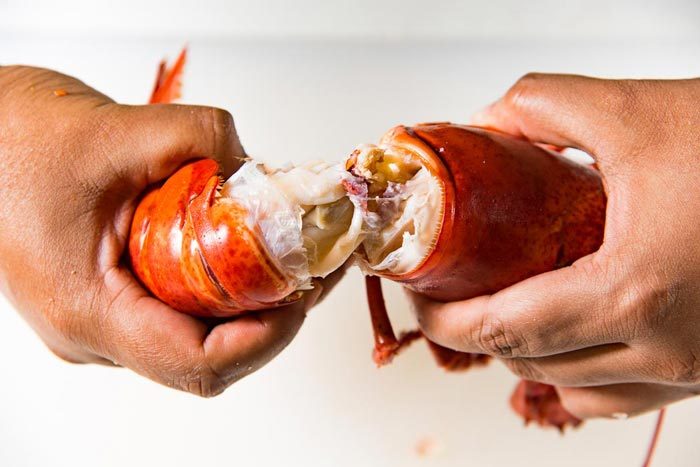 The lobster tail twisted off from the lobster body or carapace.