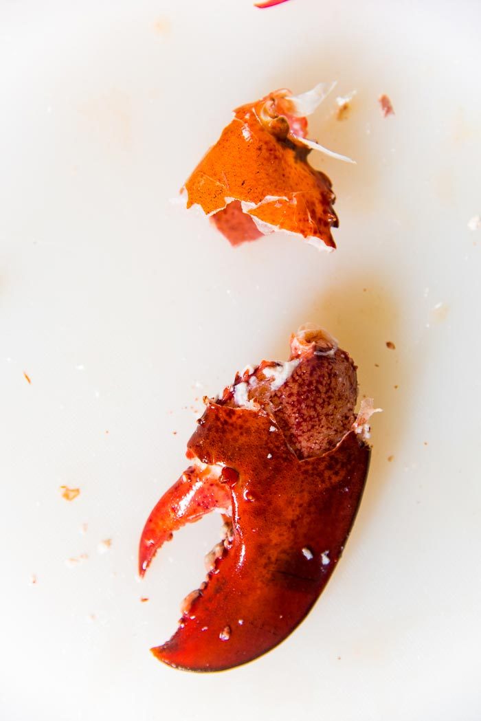 The bottom of the lobster claw being cracked, to expose the meat that can be removed easily.