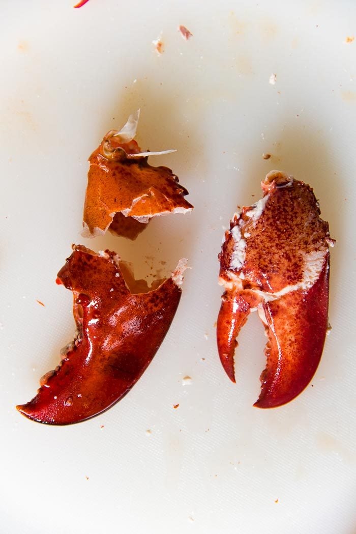 A lobster claw meat, taken out whole from the claw shell.