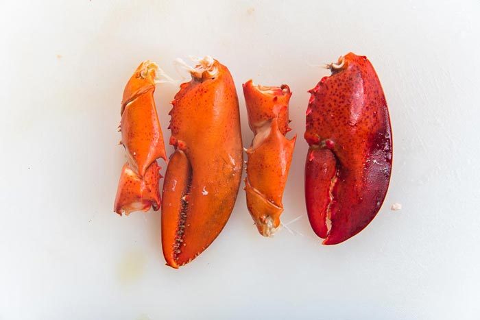Lobster claws and knuckles on a white cutting board.