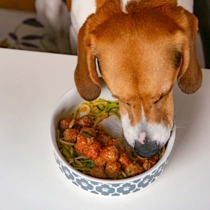 A dog eating meatballs made out of dog-friendly and healthy ingredients from a bowl.