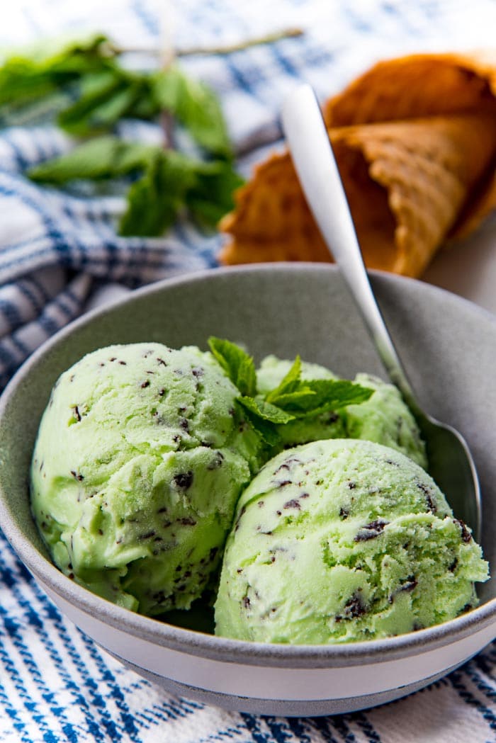 A close up of the mint chocolate chip ice cream in a bowl, showing the peppermint chocolate pieces in the ice cream.