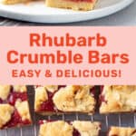 Rhubarb bars SM.