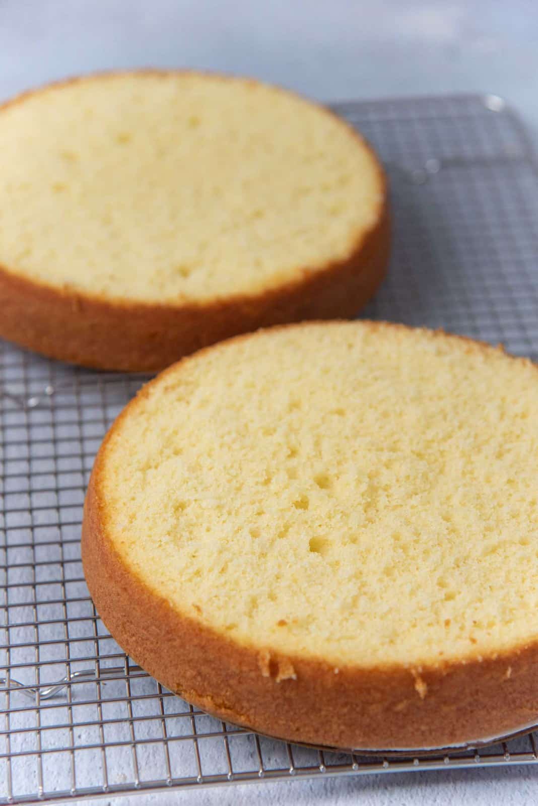 Cake layers with tops sliced off